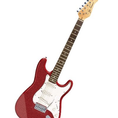 Jay Turser AMS JT 300M MRD električna gitara