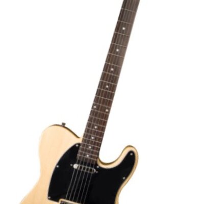 Jay Turser AMS JT LT N električna gitara