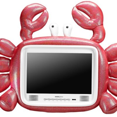 Hannspree ST19KMAW Crab LCD TV 19