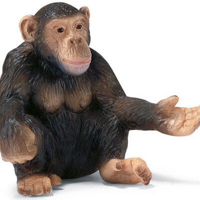 Schleich Divlje Životinje - Šimpanza, ženka 14191