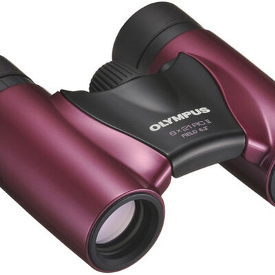 Olympus dvogled 8x21 RC II Magenta