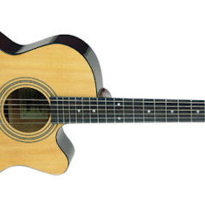 Akustična gitara Jasmine S34C by Takamine