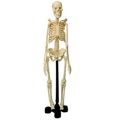 Skeleton Mehano E217