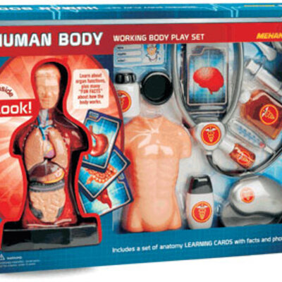 Set anatomija čoveka - veći Mehano E216