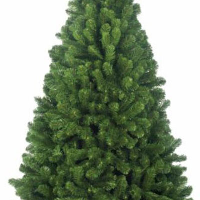 Novogodišnja Jelka Arctic Spruce 155 cm