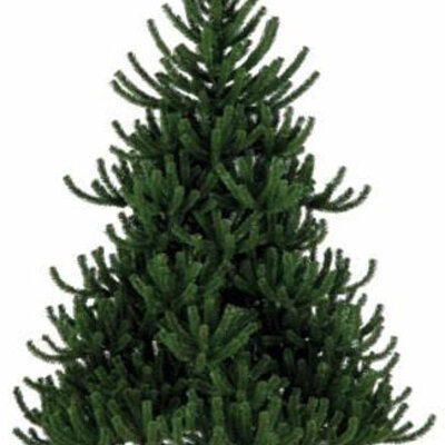 Veštačka Jelka Smoky Mountain 180 cm