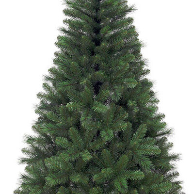 Novogodišnja Norveška Jelka 155 cm