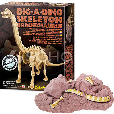 Dino Skeleton - Brachiosaurus - 032/132 - 03237