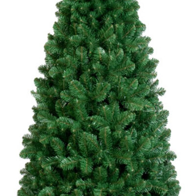 Tree Classics Slim Line Jelka 5 m