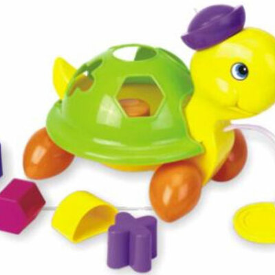 Baby Mix Igračka Pametna Kornjača 6310044