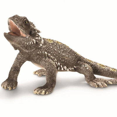 Schleich Divlje životinje - Pogona Gušter 14675