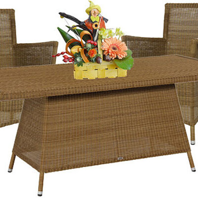 Garnitura Od PP Ratana Lucrezia Cedar Brown 4 Fotelje + Sto