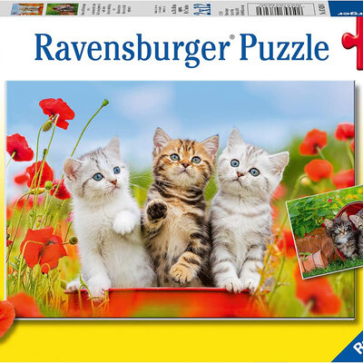 Ravensburger Puzzle slagalice 2x12 delova Mačići 07626