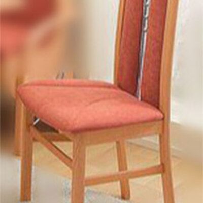 Trpezarijske Stolice Sara Caribu Terra 2kom