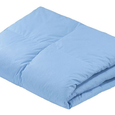 Jorgan sa prirodnim punilom DreamLand 2200g 200x220