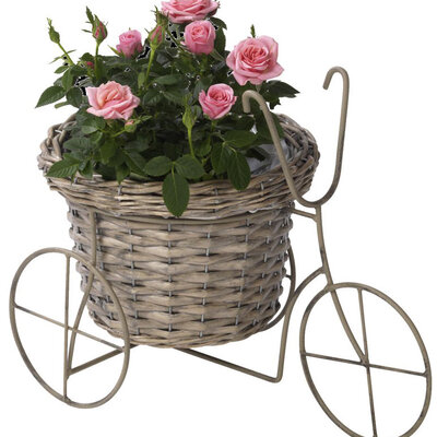 Saksija Sa Triciklom