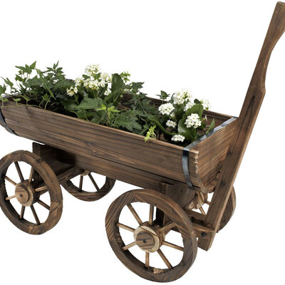 Žardinijera Od Borovine