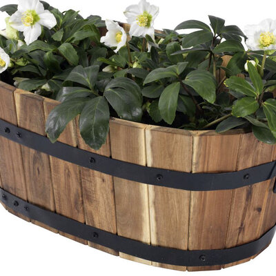 Novelle Žardinijera Od Borovine