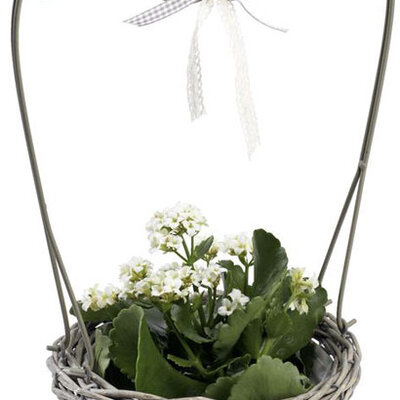 Pletena Saksija od Pruća