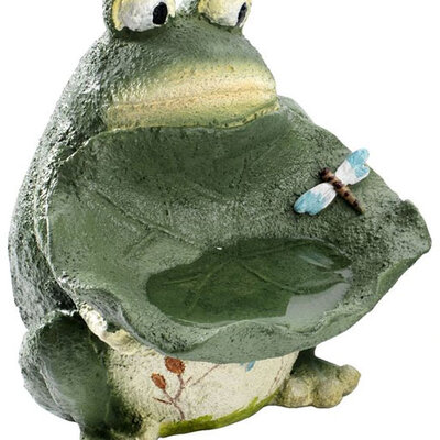 Pojilište za ptice - Žaba