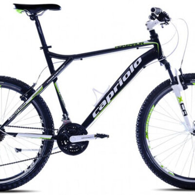 Mountain Bike MTB ADRENALIN 26/21HT 905430-22