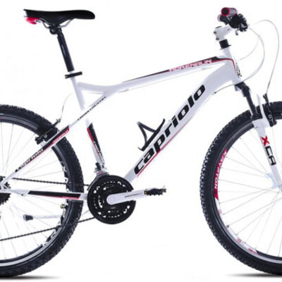 Mountain Bike MTB ADRENALIN 26/21HT 905432-20
