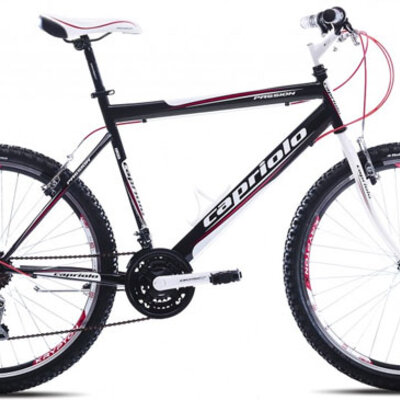 Mountain Bike MTB PASSION M 26/18HT 912372-23