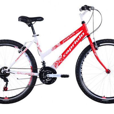 Mountain Bike MTB PASSION L 26/18HT 912380-17