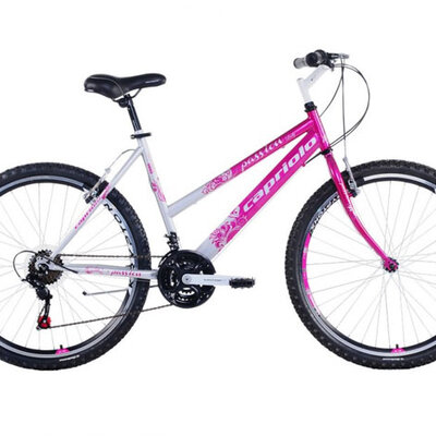 Mountain Bike MTB PASSION L 26/18HT 912381-19