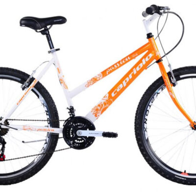 Mountain Bike MTB PASSION L 26/18HT 912382-17