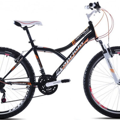 Mountain Bike MTB DIAVOLO 600/18HT 912311-17