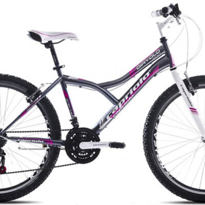 Mountain Bike MTB DIAVOLO 600/18HT 912312-19
