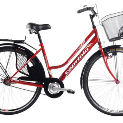 Bicikl CTB City Bike AMSTERDAM LADY 28HT bordo 905272-18