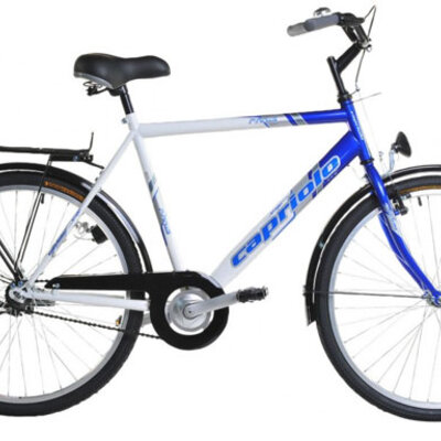 Bicikl CTB City Bike PARIS MAN 26HT belo-plavo 905241-21