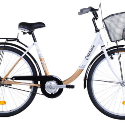 Bicikl CTB City Bike PICNIC 26HT braon-belo 912252-17