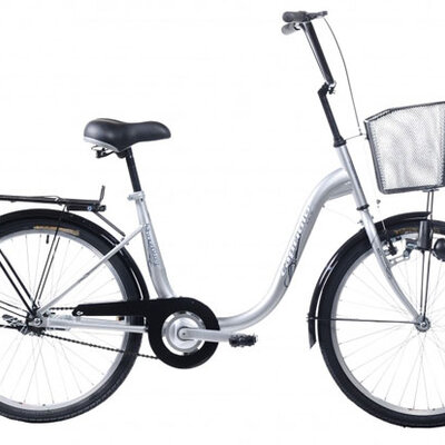 Bicikl CTB City Bike EVERY DAY 24HT srebrna 905221-16