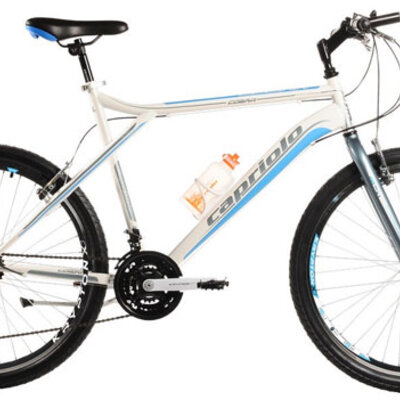 Mountain Bike MTB Cobra 26/21HT sivo-belo 905412-22