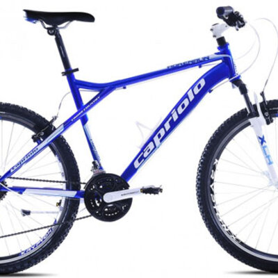 Mountain Bike MTB Adrenalin 26/21HT plava-bela 912431-22