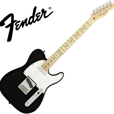 Fender standard Telecaster MN BLK
