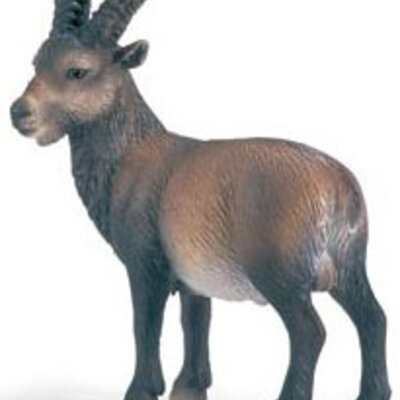 Schleich Divlje Životinje - Kozorog 14366