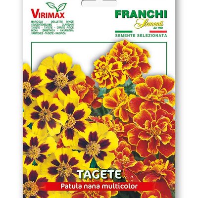 Seme za cveće Kadifa niska mix 5 kesica Franchi Sementi Virimax