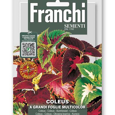 Ukrasna kopriva - Koleus - seme 5 kesica Franchi Sementi Virimax