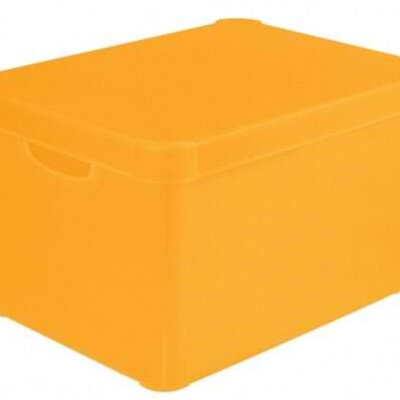 Curver kutija za odlaganje 25l transparentna oranž CU 04711-250