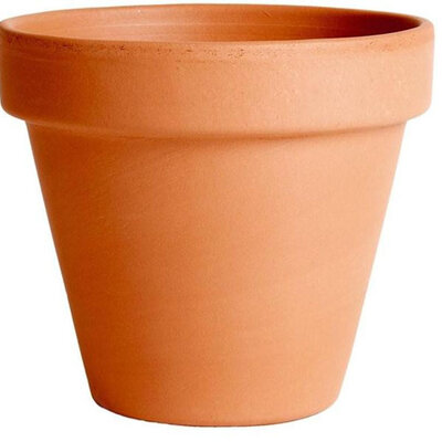 Degrea saksija Classica Terracotta 23cm DE 01230