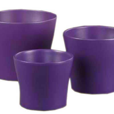 Scheurich saksija 808/17 Deep Purple SH 48545