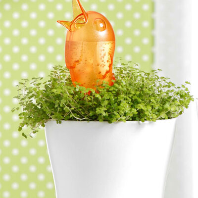 Scheurich dozer vode za cveće narandžasti SH 51045