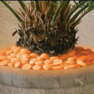 Svetlucavi kamenčići oranž boje