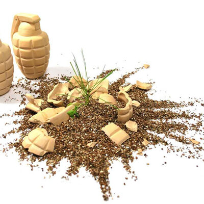 SuckUK Cvetna granata sa semenom za baštu FLOWER1