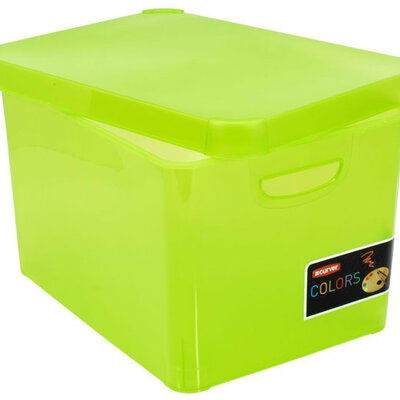 Kutija za odlaganje Curver Secret 30x40x24cm limeta