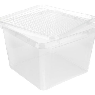 Kutija za odlaganje stvari Pack&Go 39x39x26cm providna